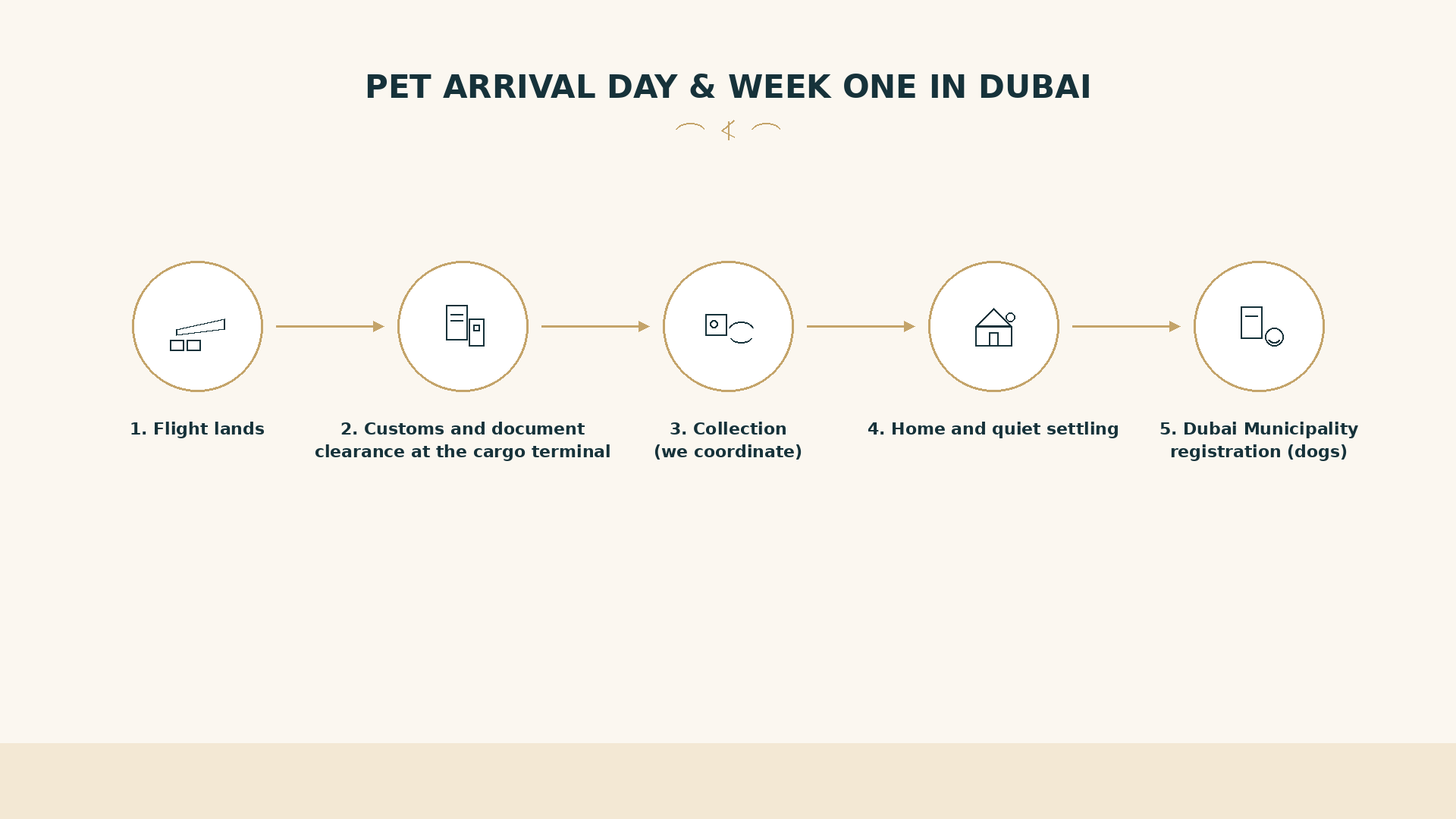 After landing in Dubai: cargo clearance, collection, home settling, then dog registration