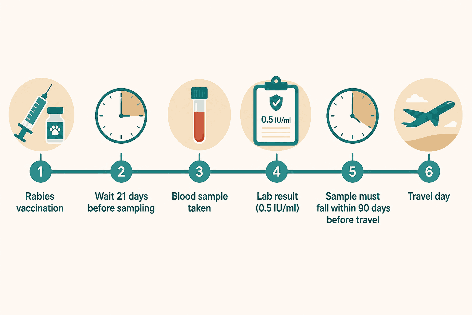 Illustration of vaccination, an antibody test, and travel